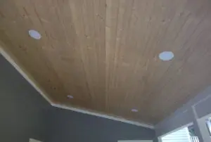 Can Lighting - Man Cave - Asheville North Carolina